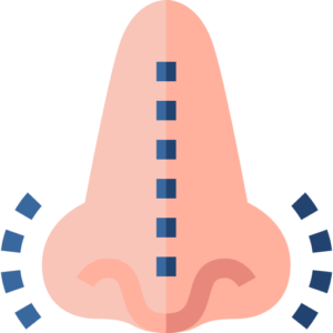 Primary Rhinoplasty