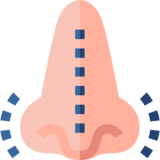 Primary Rhinoplasty