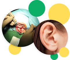 Best Otologic Surgeon